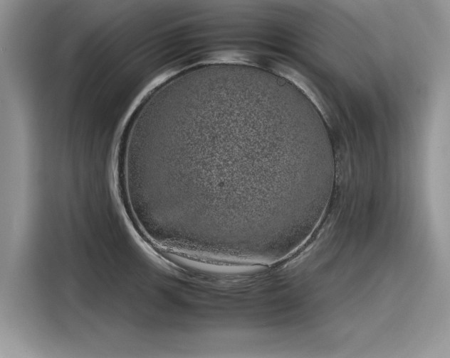 X0000116101139200911301057