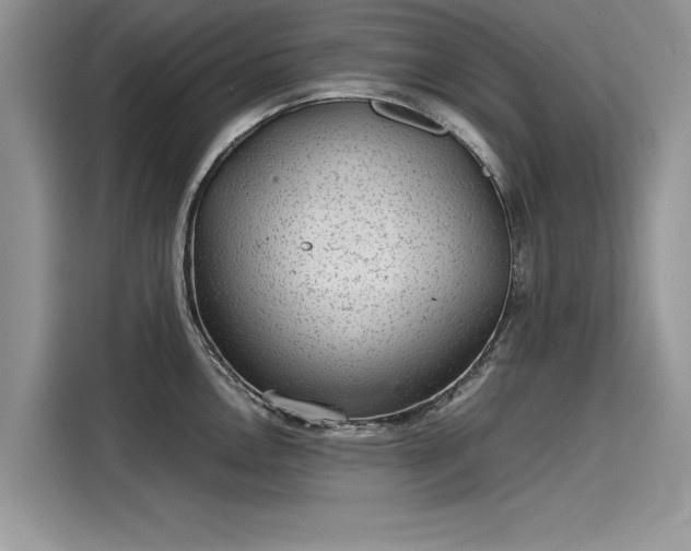 X0000116101146200911301057