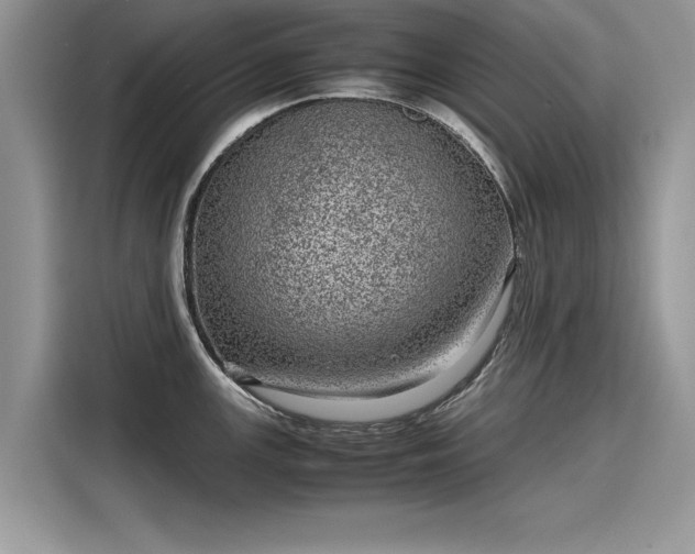 X0000116101147200911301057