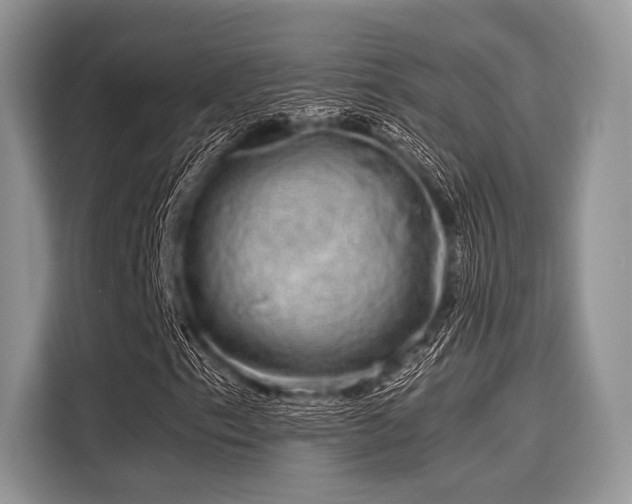 X0000116101153200911301057