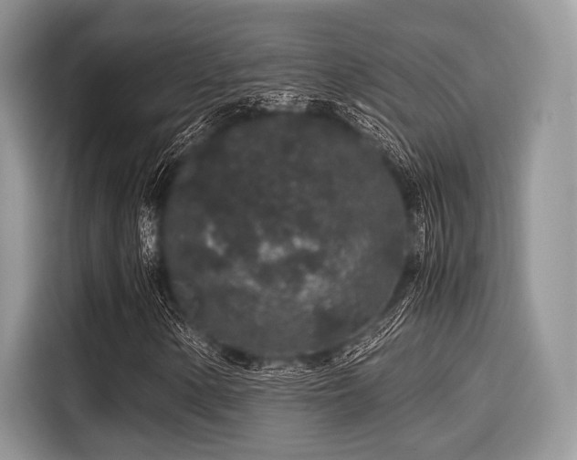 X0000116101154200911301057