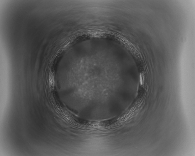 X0000116101155200911301057