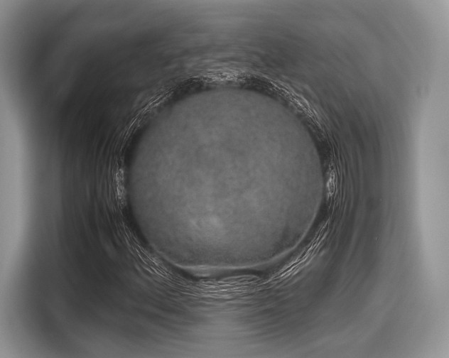 X0000116101156200911301057