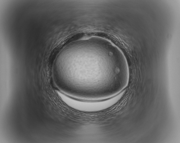 X0000116101157200911301057