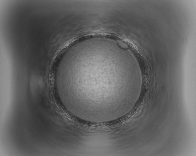 X0000116101159200911301057