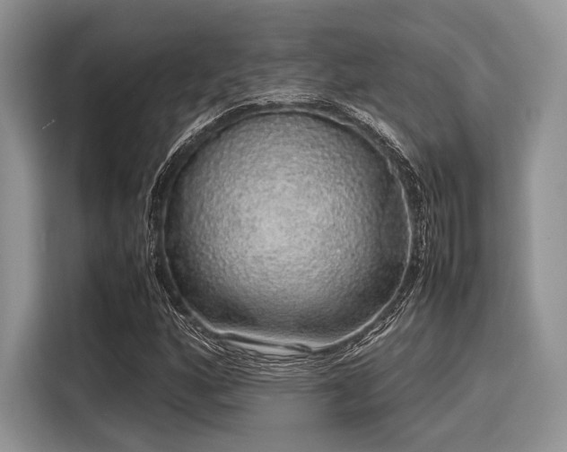 X0000116101160200911301057