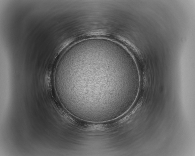 X0000116101162200911301057