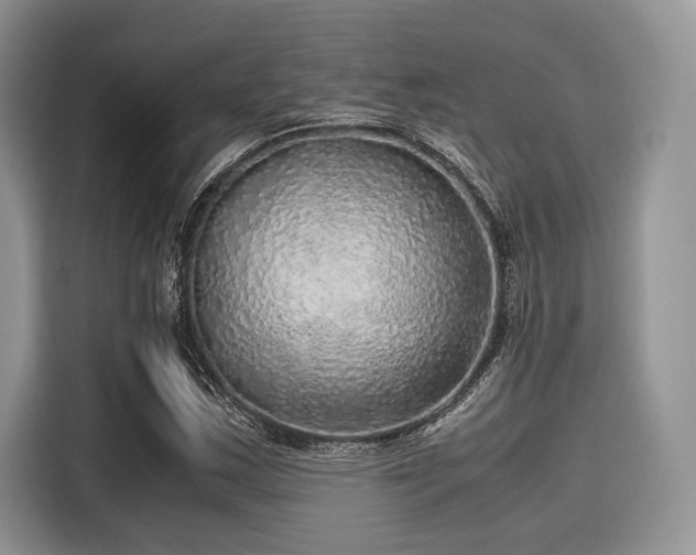 X0000116101163200911301057