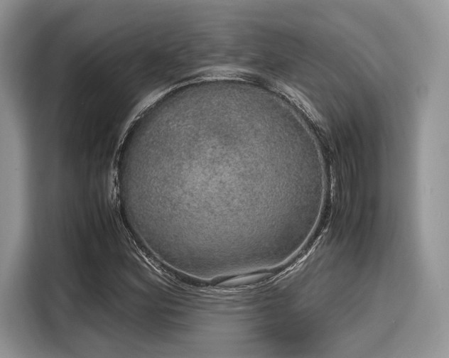 X0000116101164200911301057