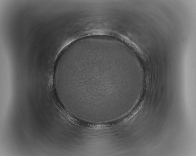 X0000116101166200911301057