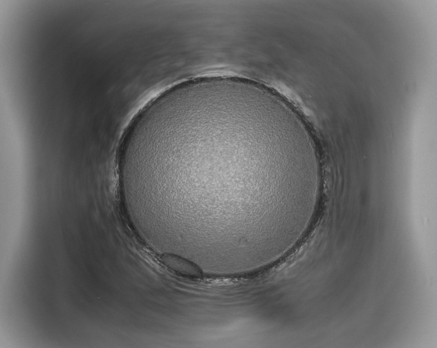 X0000116101167200911301057