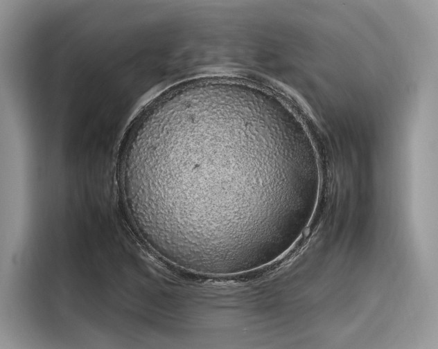 X0000116101168200911301057