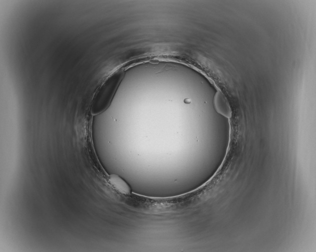 X0000116101169200911301057