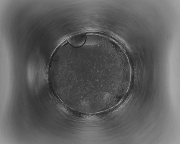 X0000116101170200911301057