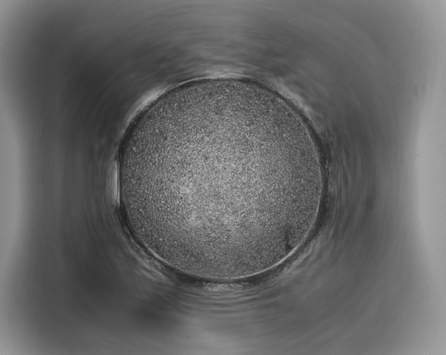 X0000116101171200911301057