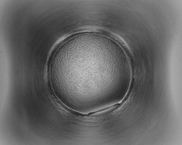 X0000116101172200911301057