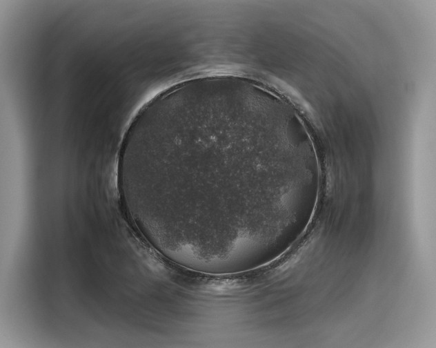 X0000116101174200911301057