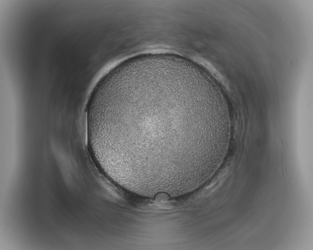 X0000116101175200911301057