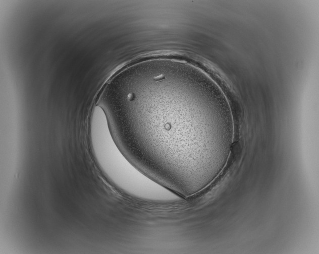 X0000116101177200911301057