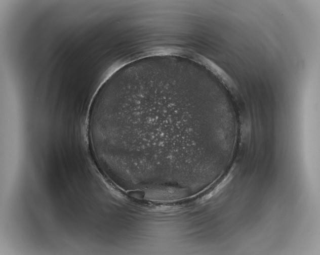 X0000116101178200911301057