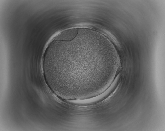 X0000116101180200911301056