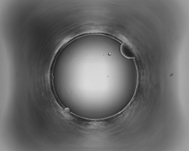 X0000116101181200911301056