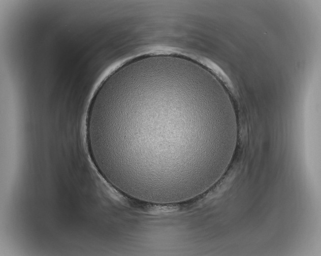 X0000116101183200911301056