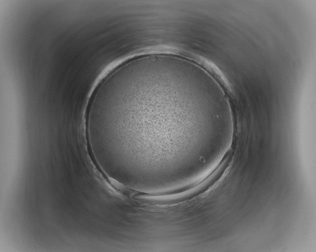 X0000116101184200911301056