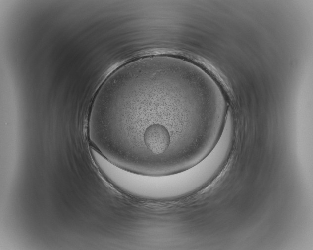 X0000116101185200911301056