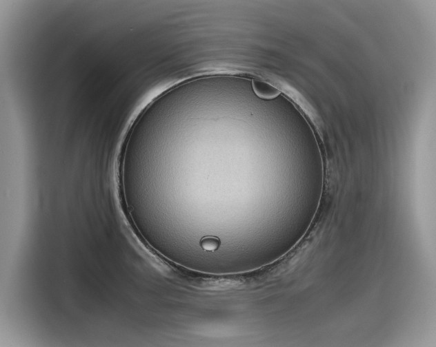 X0000116101187200911301056