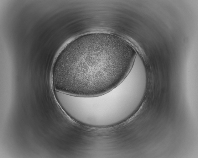 X0000116101188200911301056