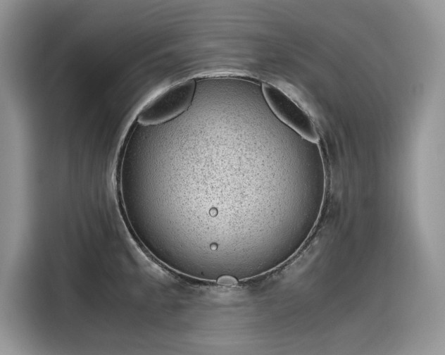 X0000116101189200911301056