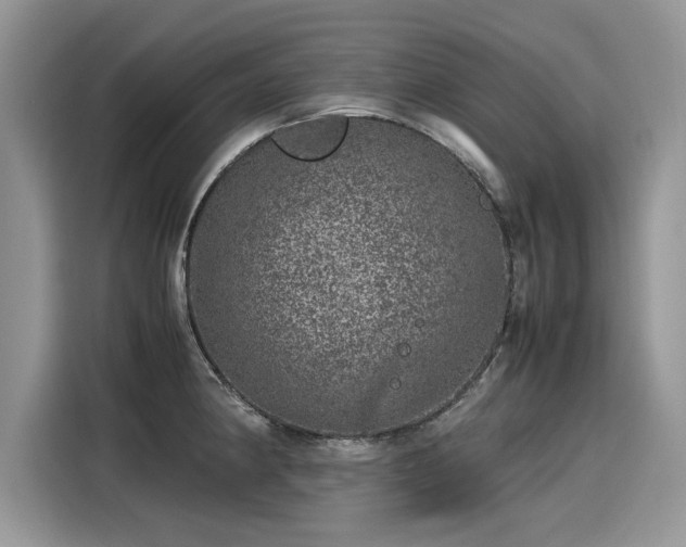 X0000116101190200911301056