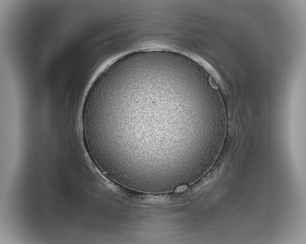 X0000116101191200911301056