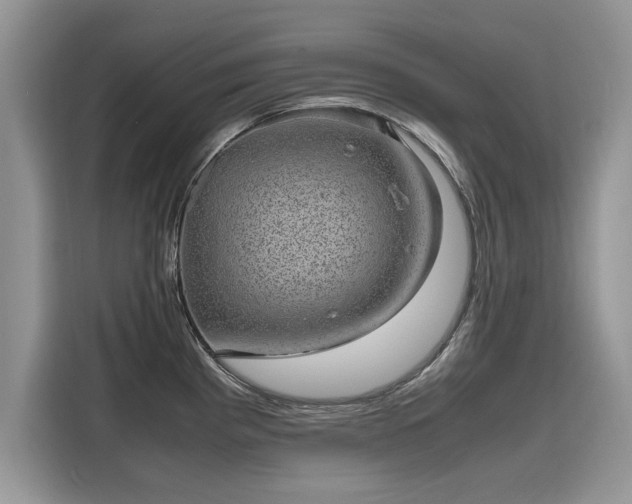 X0000116101193200911301056