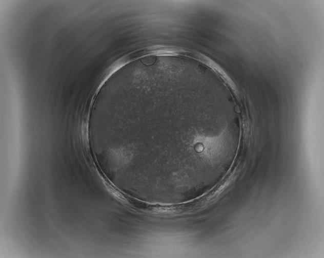 X0000116101194200911301056