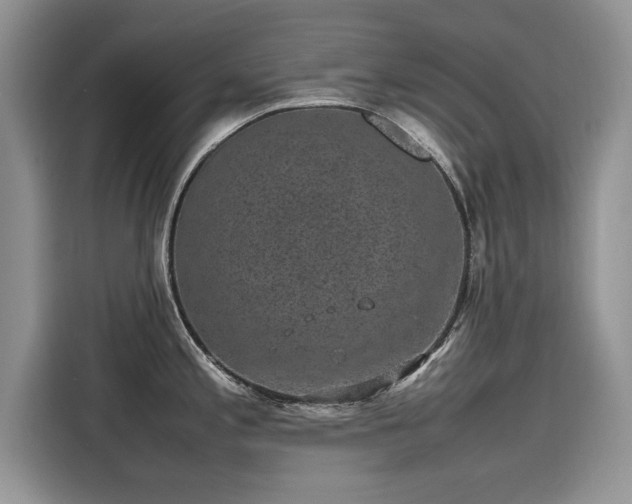 X0000116101197200911301056