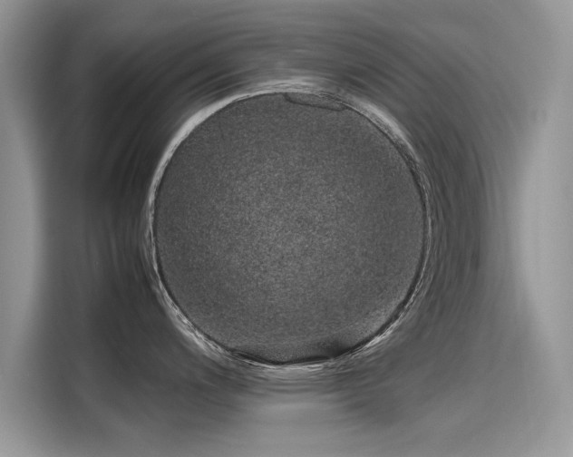 X0000116101200200911301056