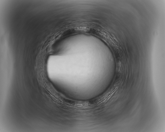 X0000116101201200911301056