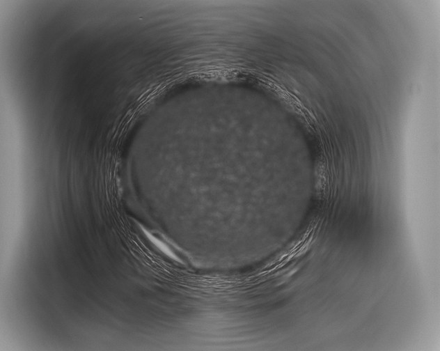 X0000116101202200911301056