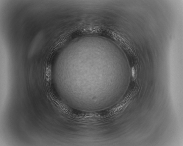 X0000116101203200911301056