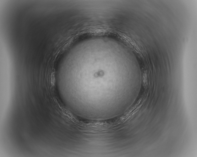 X0000116101204200911301056