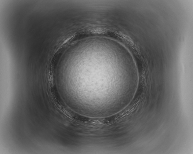 X0000116101205200911301056