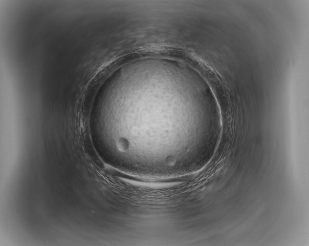 X0000116101206200911301056