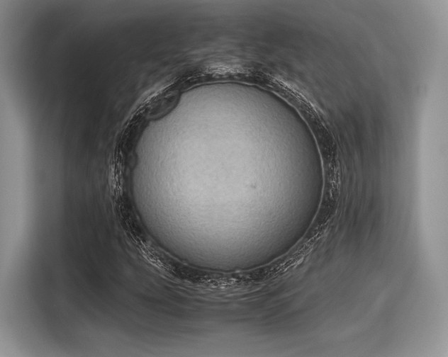 X0000116101207200911301056