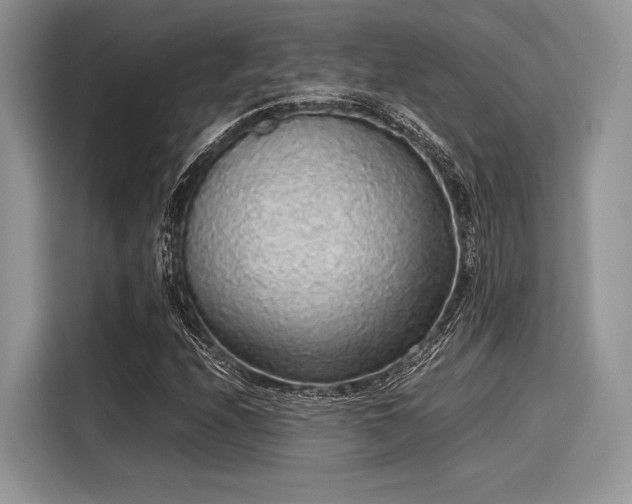 X0000116101208200911301056