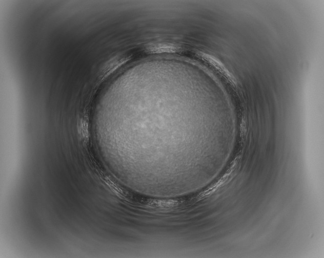 X0000116101209200911301056