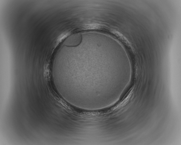 X0000116101210200911301056