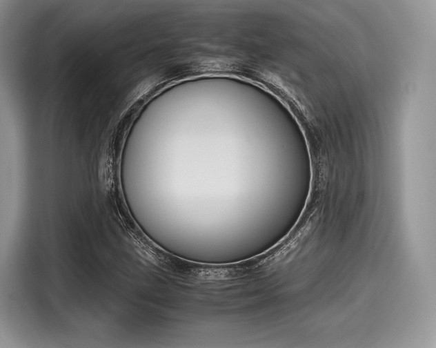 X0000116101211200911301056