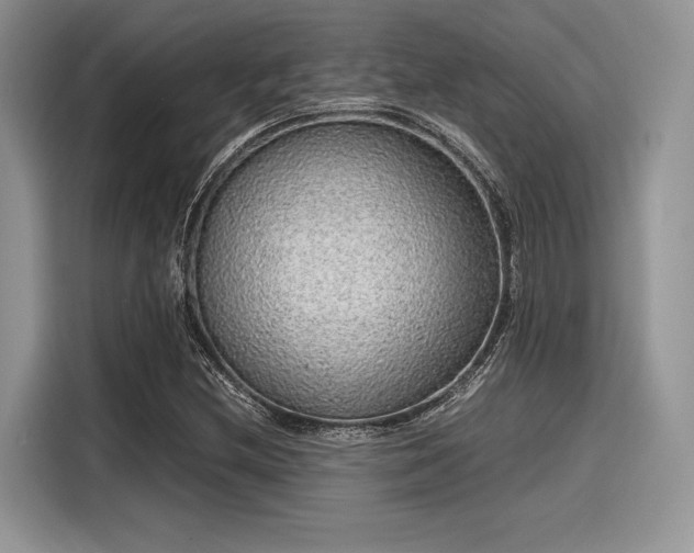 X0000116101212200911301056